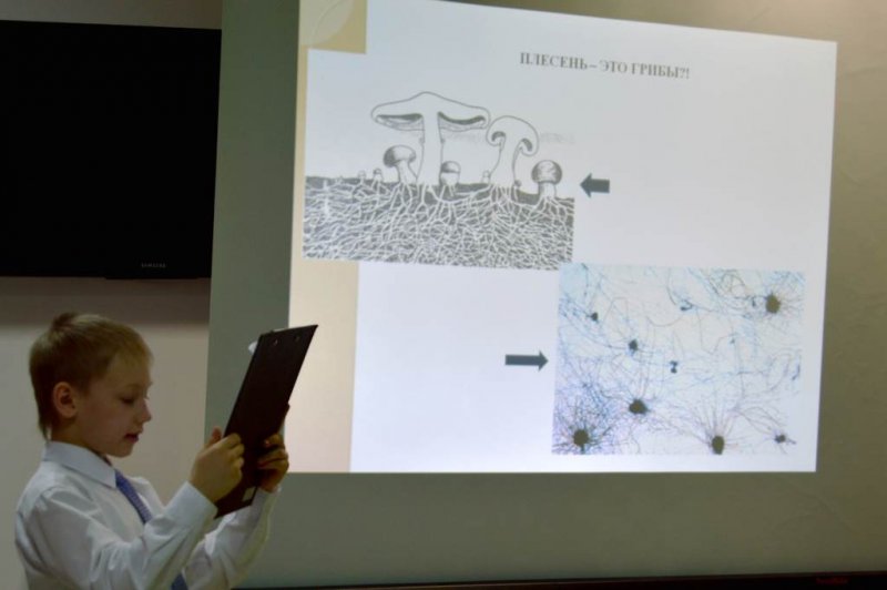 Фото к Младшие школьники поделились своими открытиями в информационном центре по атомной энергии