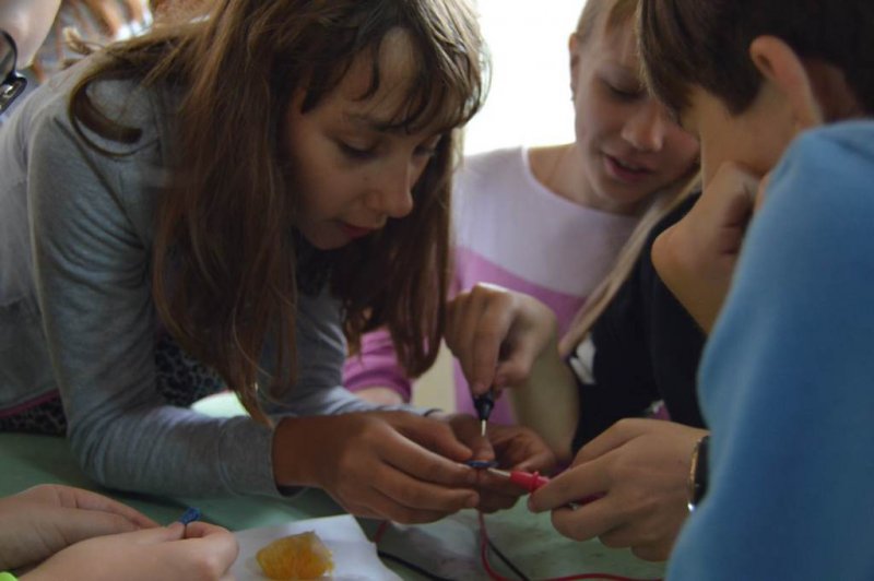 Фото к 3 дня с наукой: ИЦАЭ Воронежа стал организатором научного направления смены лагеря «Костер»