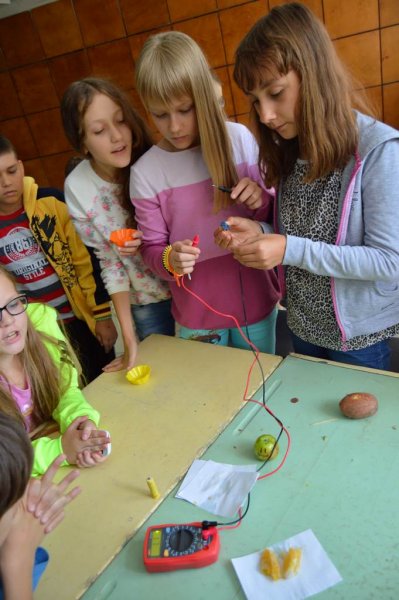 Фото к 3 дня с наукой: ИЦАЭ Воронежа стал организатором научного направления смены лагеря «Костер»