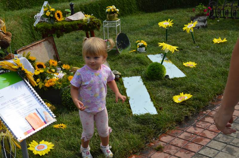 Фото к Информационный центр по атомной энергии принял участие в выставке «Воронеж-город сад»