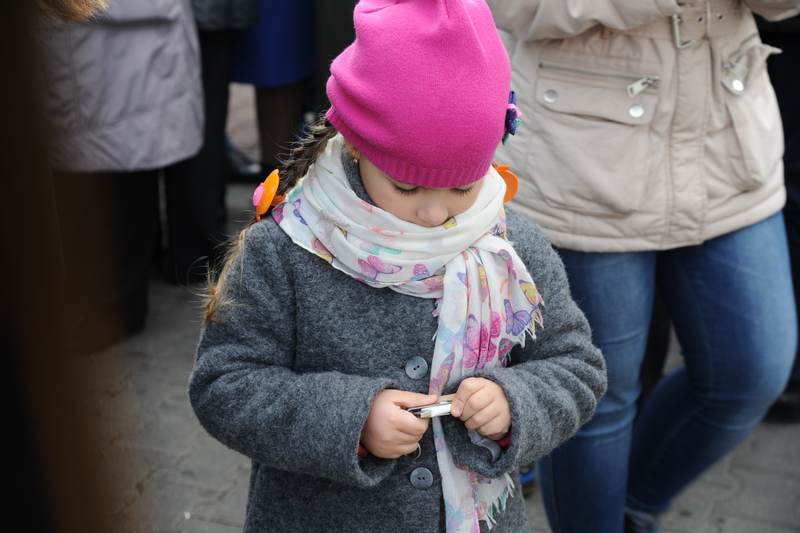 Фото к Интеллектуальный День народного единства в Курске