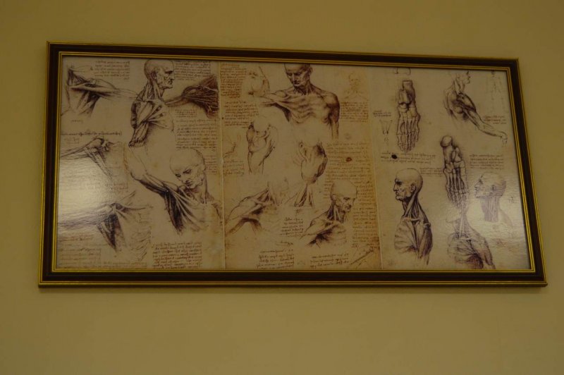 Фото к В Воронеже стартовала V Всероссийская неделя высоких технологий и технопредпринимательства