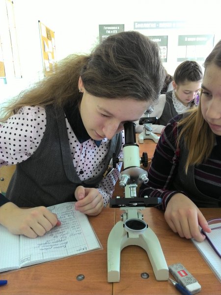 Фото к В Воронеже подвели итоги V Всероссийской недели высоких технологий и технопредпринимательства